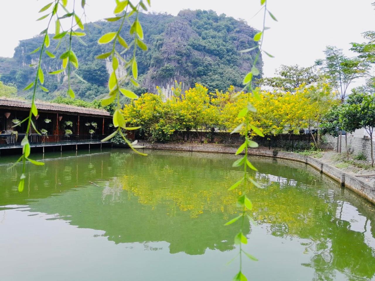Tam Coc Garden Homestay Ниньбинь Экстерьер фото
