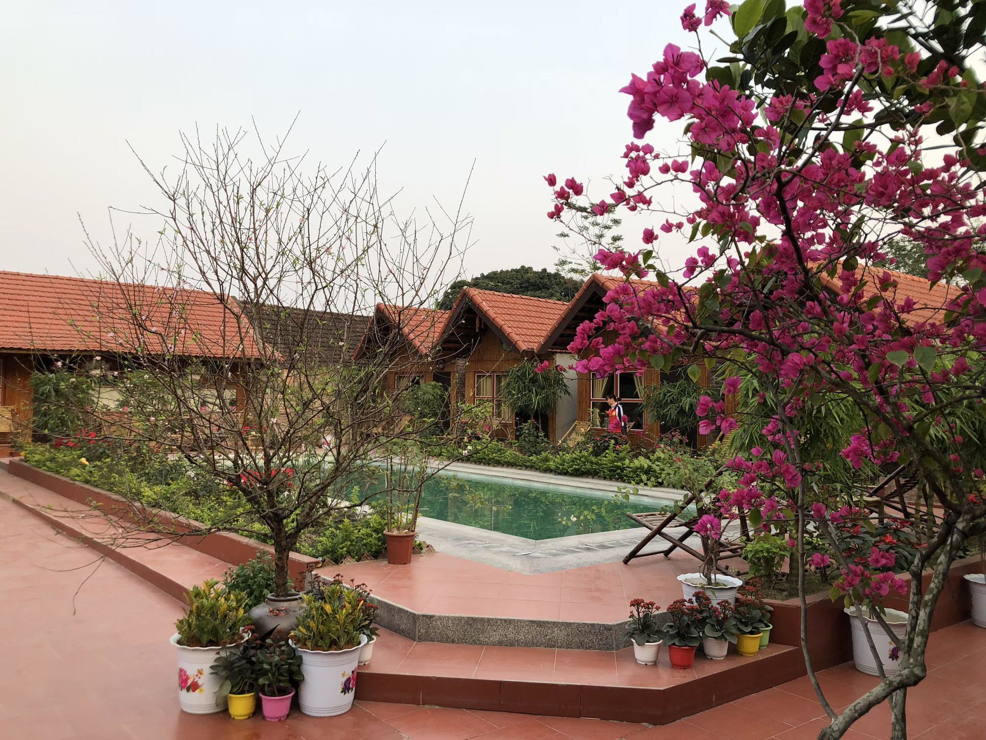 Tam Coc Garden Homestay Ниньбинь Экстерьер фото